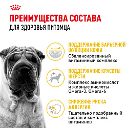 Сухой корм Royal Canin Medium Dermacomfort для взрослых средних пород 10 кг